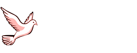 Winners Real Estate - Lettings, Sales & Property Management Services